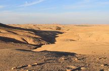 Dinner in agafay desert under the stars with camles&quad tour