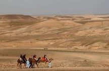 Dinner in agafay desert under the stars with camles&quad tour