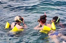 Glass Bottom Boat and Snorkeling Experience in Montego Bay