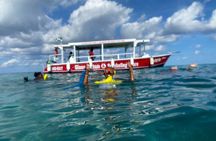 Glass Bottom Boat and Snorkeling Experience in Montego Bay