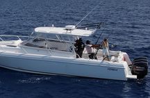 Private Half-Day Morning Bottom Fishing on Serendipity