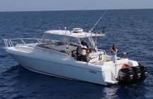 Private Half-Day Morning Bottom Fishing on Serendipity