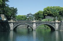 Tokyo Panoramic 1 Day: Meiji Shrine, Asakusa, Odaiba and SKYTREE®