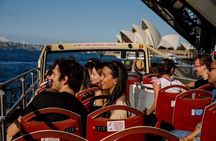 Blue Mountain Tour with Hop on and Hop Off Bus 
