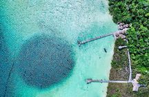 Private Tour Snorkeling Lagoon Kaan Luum Cenote Heart Lunch 