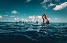 Snorkeling Tour in Moorea Aquatic Adventure Half Day