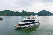 Cat Ba Island: Full-day Tour Lan Ha Bay with Luxury Cruise