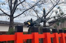 Fushimi Inari and Nara Private and Guided Tour in Spanish 