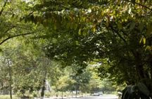 Khinalig The Cloud Village Tour