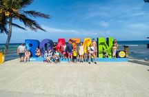Roatan Exclusive Beach Resort Plus Transportation