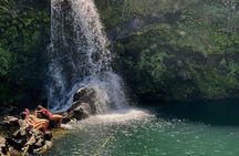 Small Group Full Day Road to Hana Adventure 