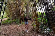 Small Group Full Day Road to Hana Adventure 
