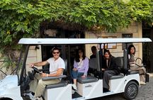 Rome Highlights: Golf Cart Tour with a Local Guide