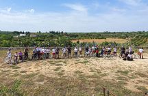 Exploring the countryside of Conversano and its monuments by E bike
