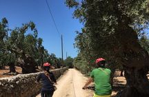 Exploring the countryside of Conversano and its monuments by E bike