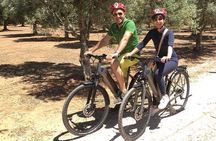 Exploring the countryside of Conversano and its monuments by E bike