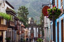 Picos de Gran Canaria by Minibus: Firgas, Teror, Aloe Vera and More