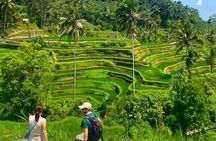 Bali : Ubud Private Tours