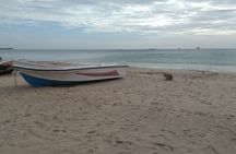 Trincomalee Day Tour From Kandy