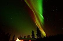 Northern Lights Trip to a Magical Place in Lapland