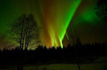 Northern Lights Trip to a Magical Place in Lapland