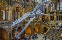 London Natural Marvels Museum Expedition Tour