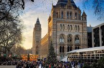 Discover the Natural Marvels of London A Museum Visit + Ebook