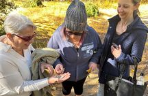 The Evolution of Yosemite 3 Hour Hiking Tour