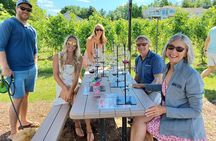The Classic Sedona Wine Tour