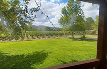 The Classic Sedona Wine Tour