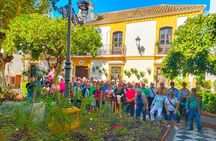Estepona Private Walking Tour