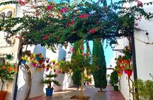 Estepona Private Walking Tour