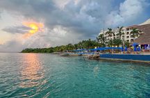 Money Bar Day Pass with Snorkel & Mexican Lunch