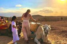High Atlas Mountains, Day Trip From Marrakech