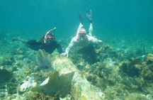 Guided Snorkeling at the Anchor and Cannon Reef in Negril