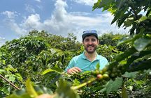 Coffee Cup Smiles And Hotsprings: Coffee Tour and Relax in Nature
