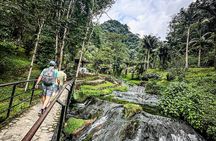 Coffee Farm & Santa Rosa Hot Springs Experience