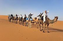 8-Day Luxury Tour from Casablanca to Marrakech via Fes-Merzouga