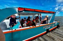 Half Day Cayo Levantado