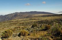 5 Days Trekking Marangu Route Kilimanjaro