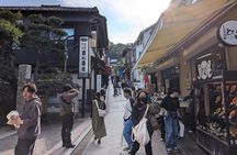 Private Tour to Kamakura and Enoshima in Spanish