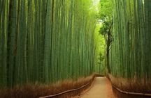  Osaka/Kyoto and Nara private tour with English speaking Guide