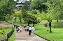  Osaka/Kyoto and Nara private tour with English speaking Guide