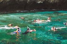 Phi Phi with Maya and Bamboo Island Day Trip by Speedboat