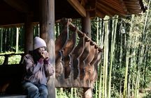  Jeonju Hanok Stay & Mt. Jiri Hiking from Seoul