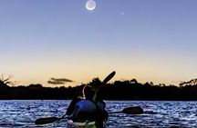 Auckland Bioluminescence Kayak Tour