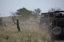 Private 6 Day Great Wildebeest Migration Ndutu Calving Season