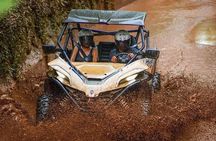 Bali UTV-BUGGY Wild Drive With Lunch at Cretya Sunset
