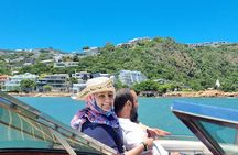 Knysna Romantic Cruise aboard Pamela 
