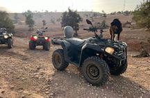 From Taghazout: Desert Quad + goats in the trees